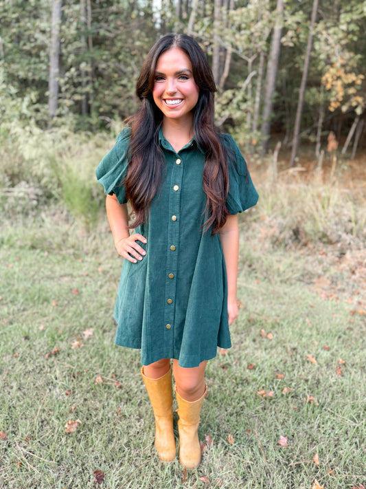 Green velvet dress PREORDER