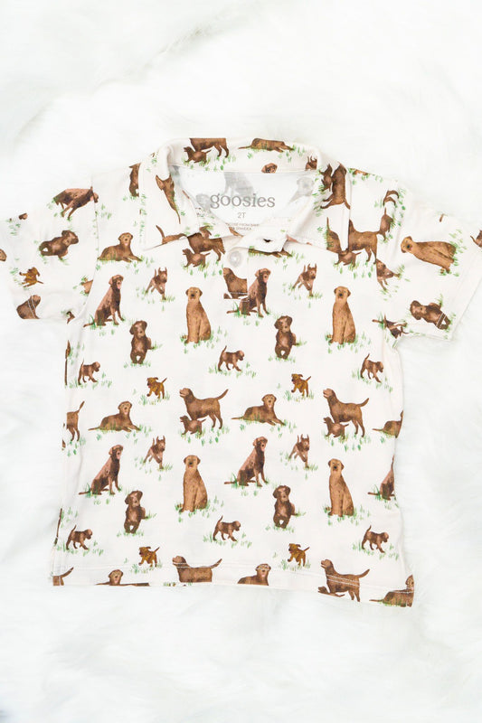 Lab Toddler Polo